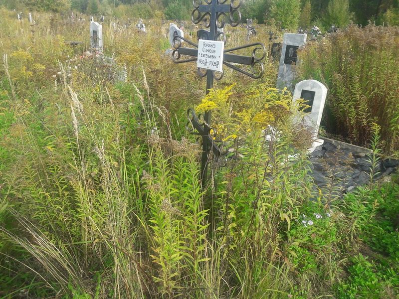Воробьев Станислав Евгеньевич