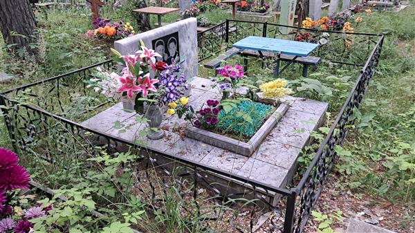Тюленев Михаил Семенович
