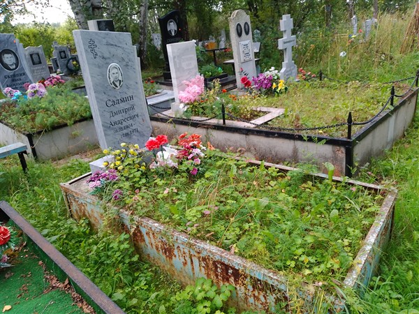 Салмин Дмитрий Андреевич