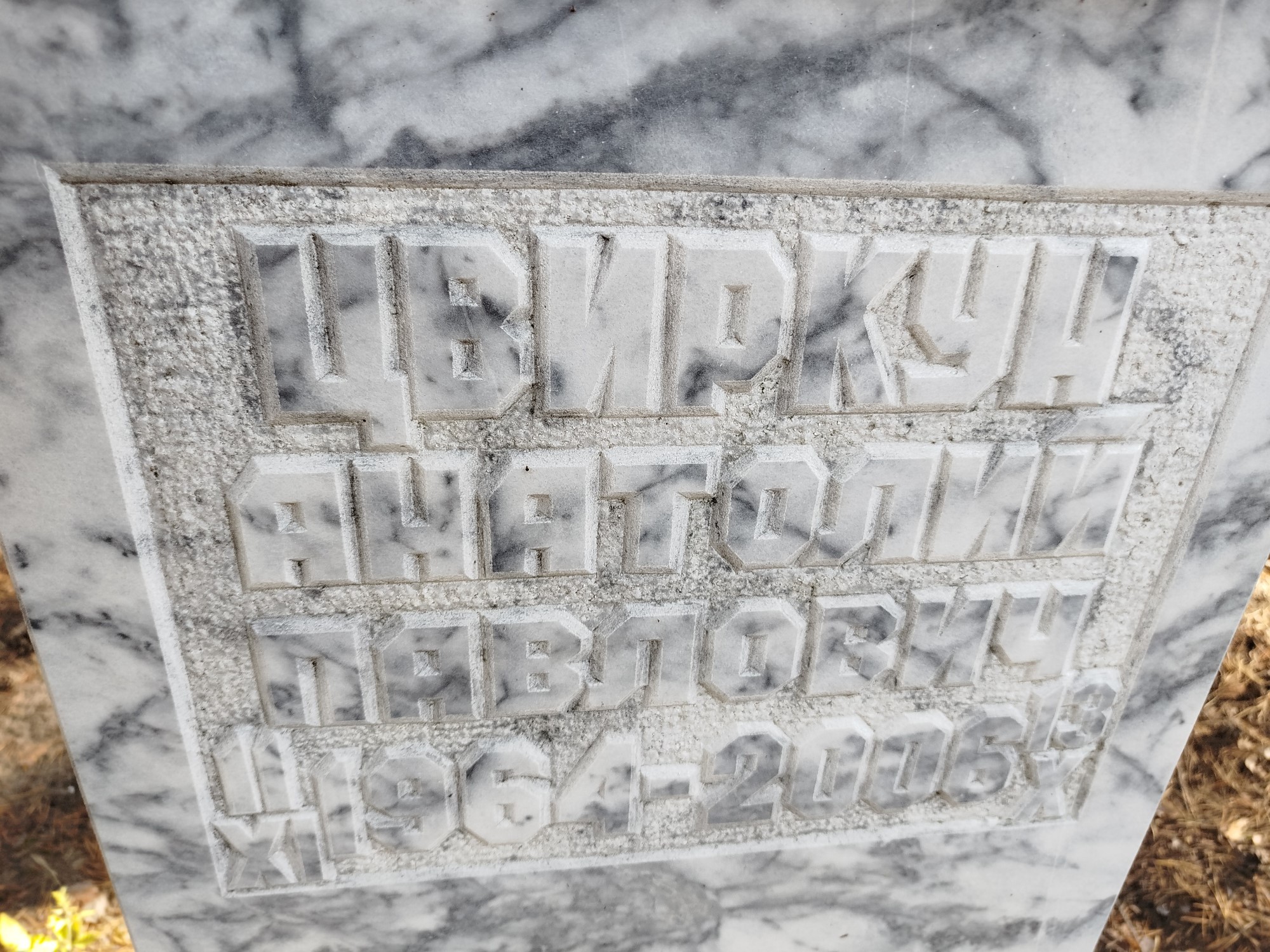 Цвиркун Анатолий Павлович