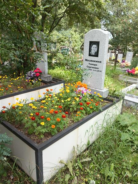 Мезянкин Федор Васильевич
