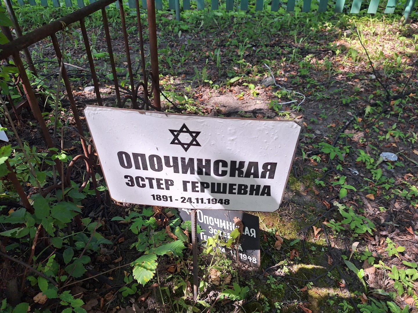 Эстер Опочинская Гершевна