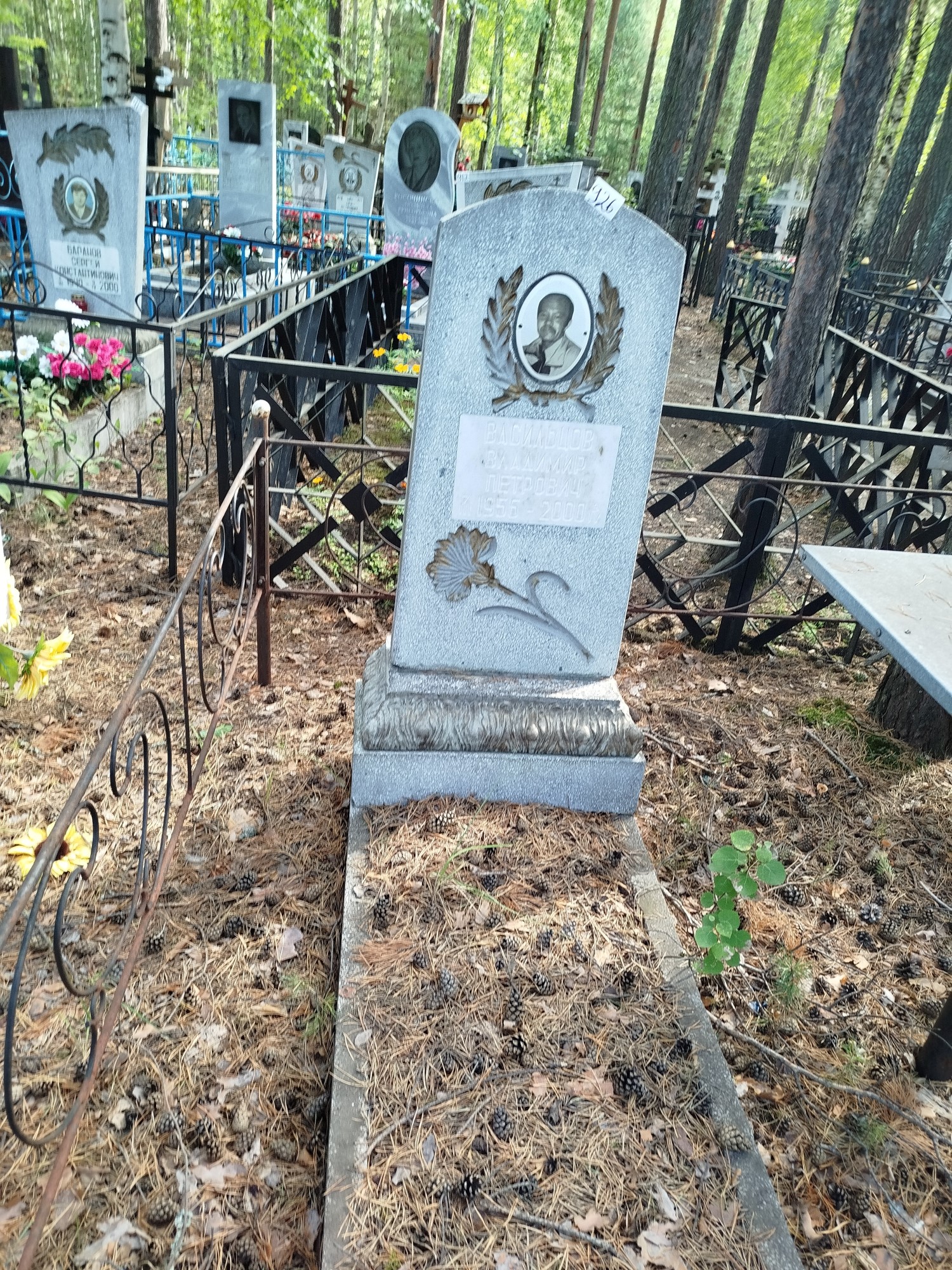 Васильцов Владимир Петрович