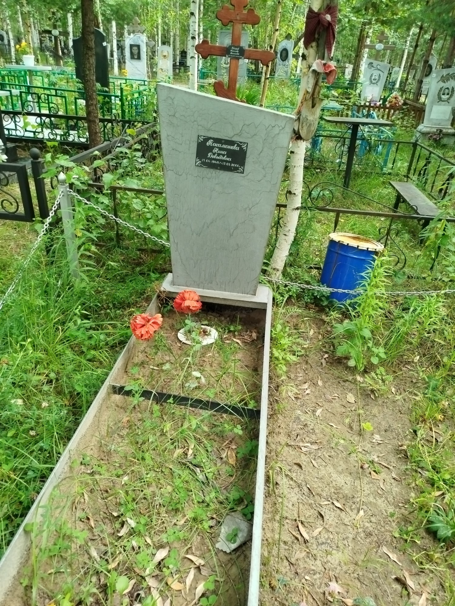 Пасаманова Нина Довыдовна