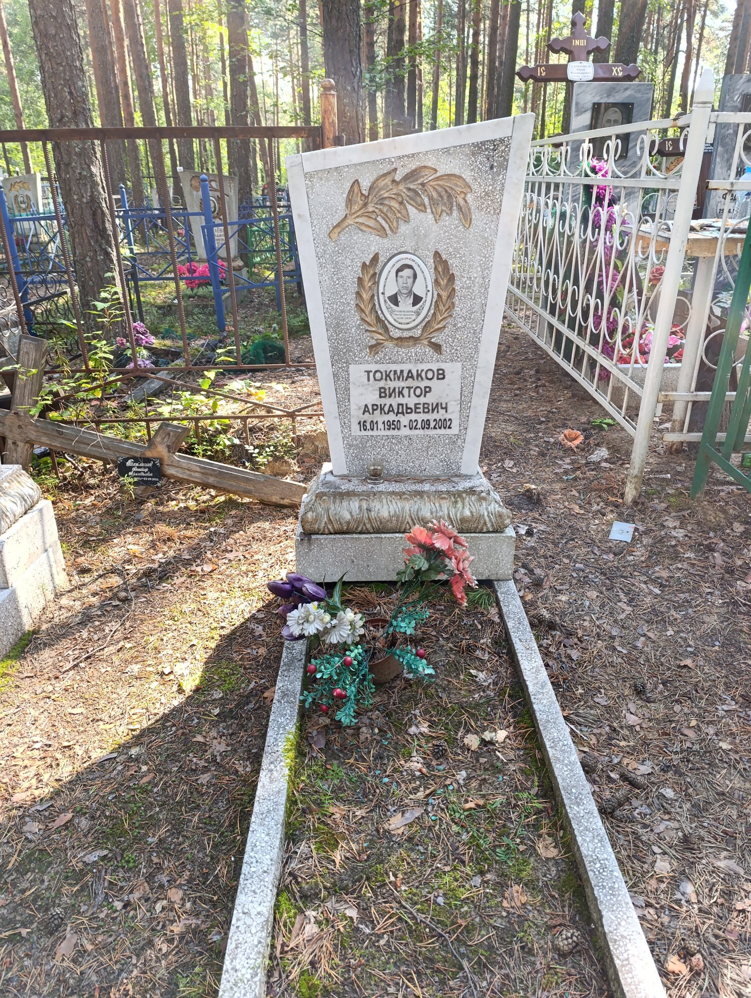 Токмаков Виктор Аркадьевич