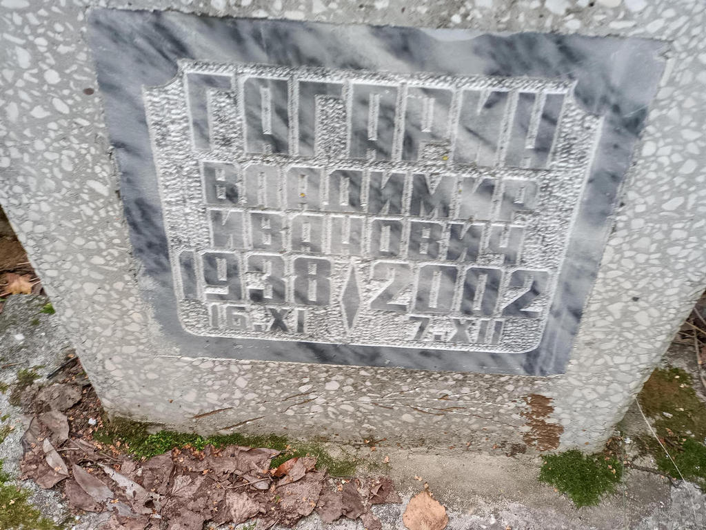 Гагарин Владимир Иванович