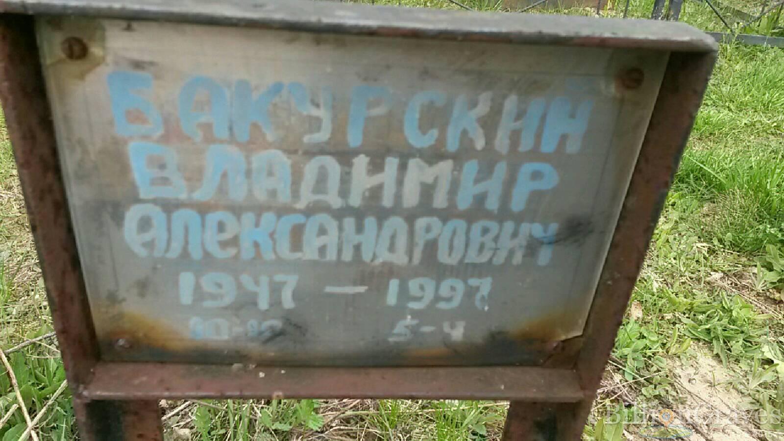 бакурский владимир александрович