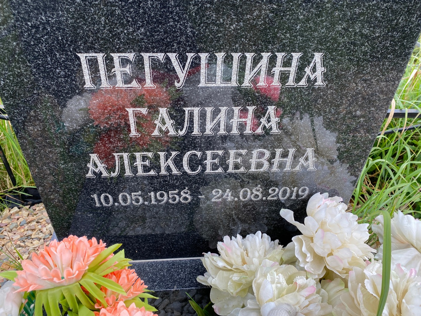 Пегушина