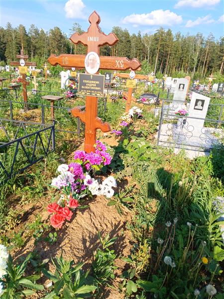 Солодянкин Андрей Валентинович