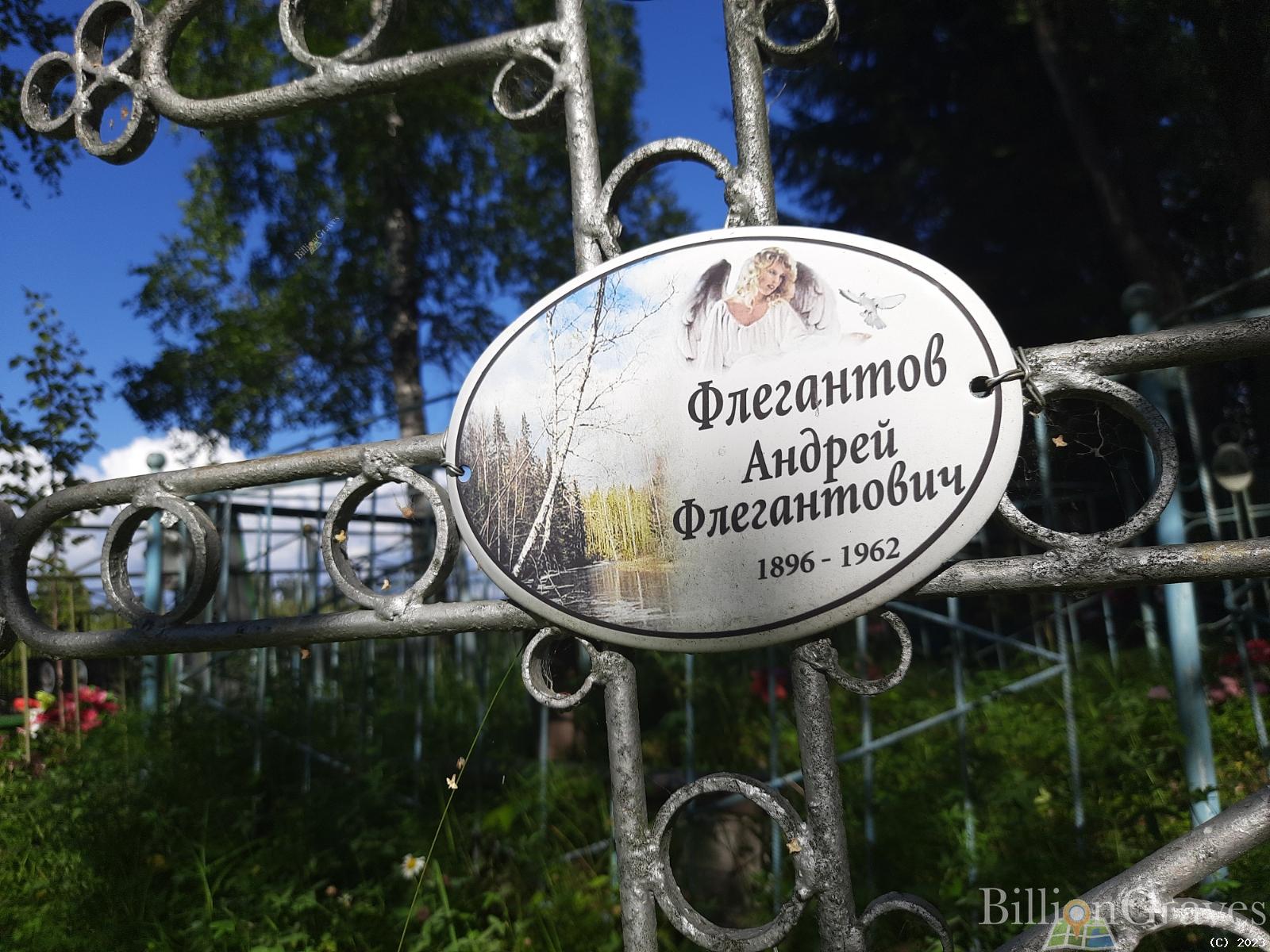 Флегантова Анастасия Ивановна