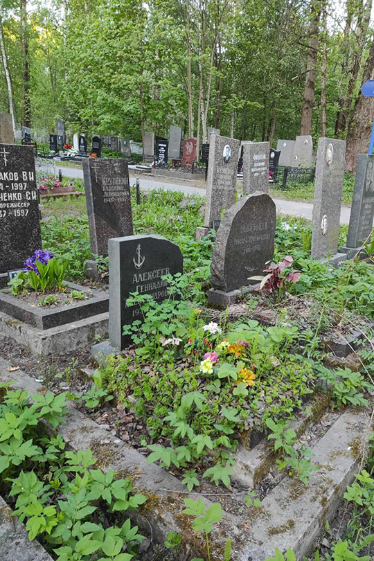 Алексеев Геннадий Александрович