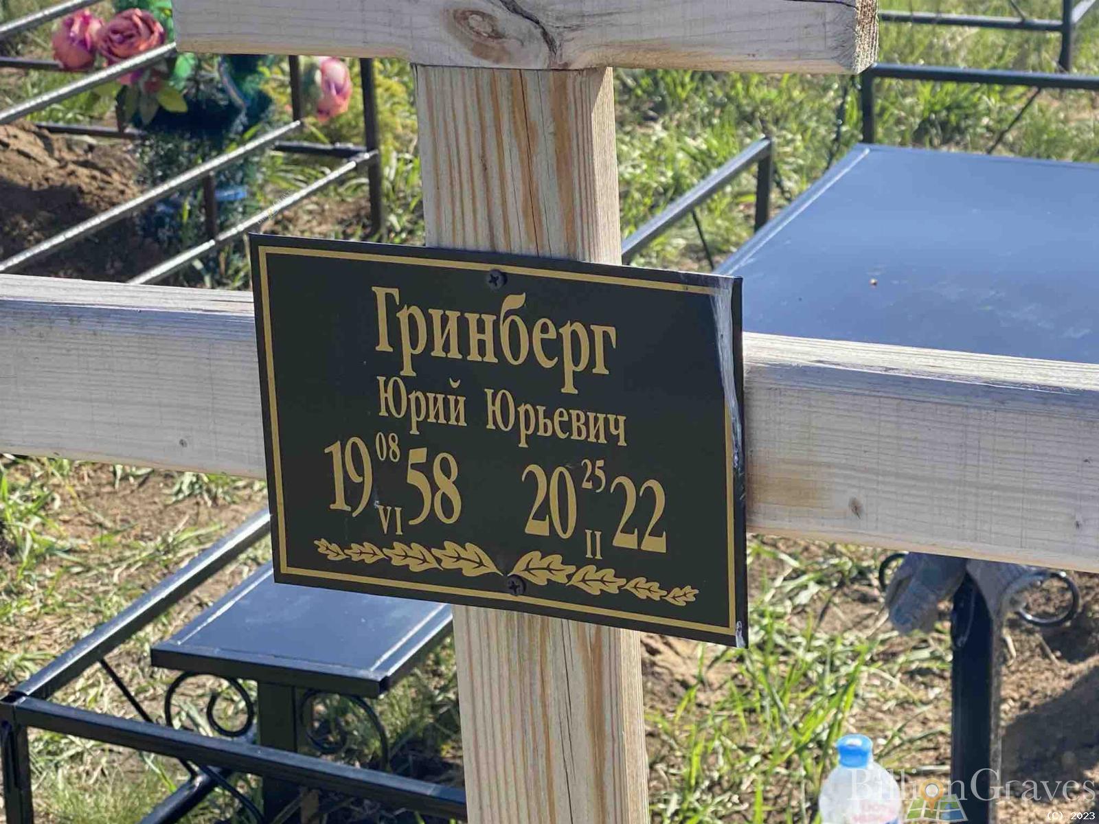 Гринберг Юрий Юрьевич