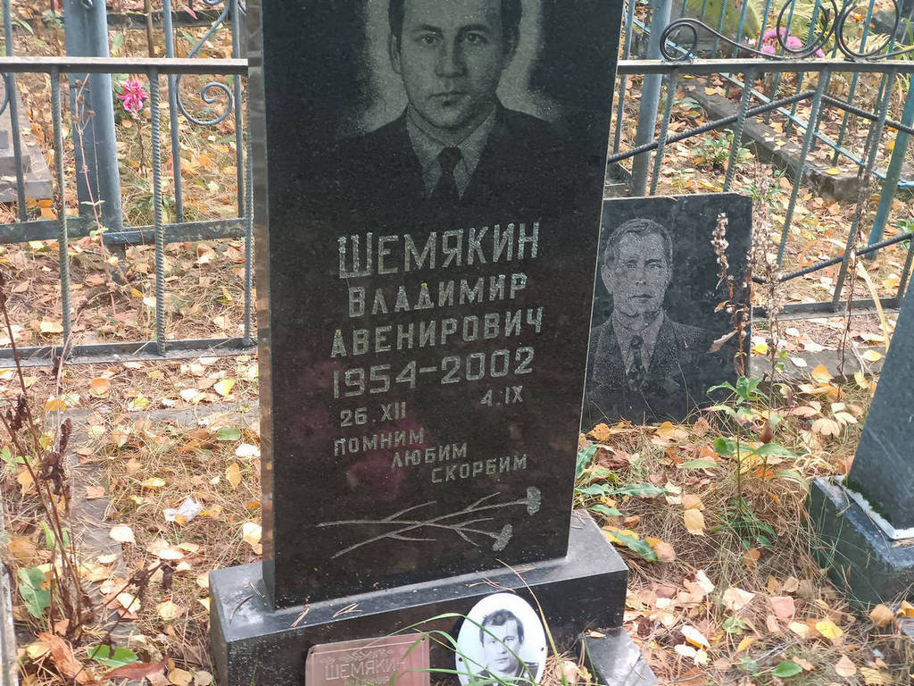 Шемякин Владимир Авенирович
