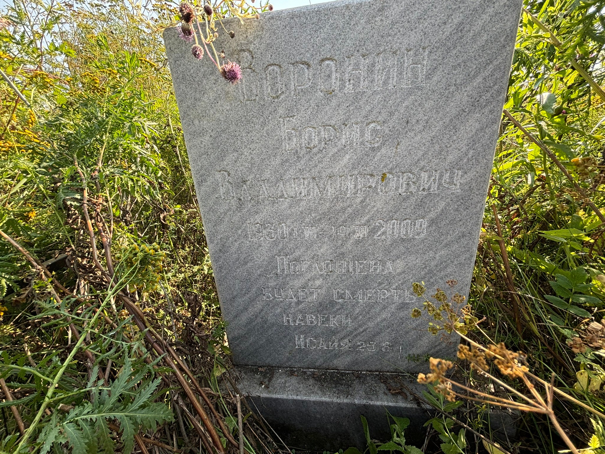 Воронин