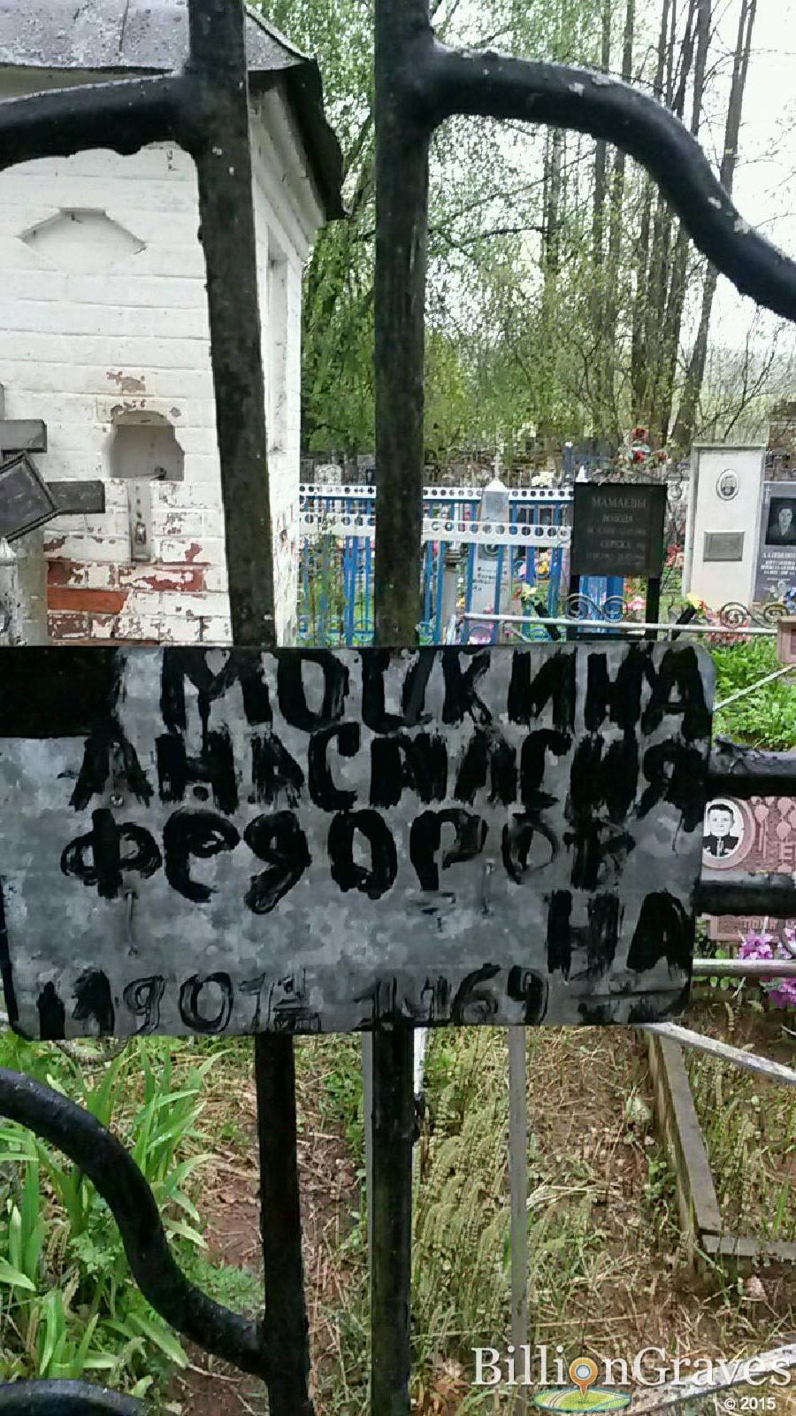 Мамаева Анастасия Георгиевна
