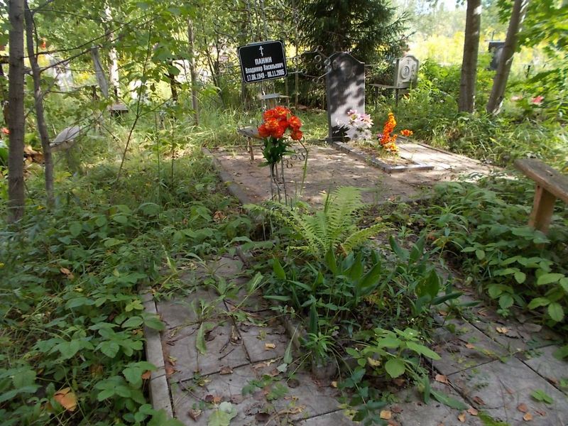 Панин Владимир Васильевич
