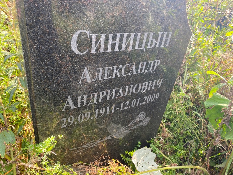 Синицын