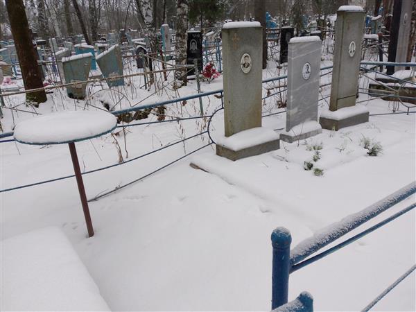 Плотникова Анна Александровна
