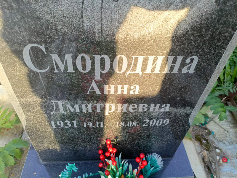 Смородина