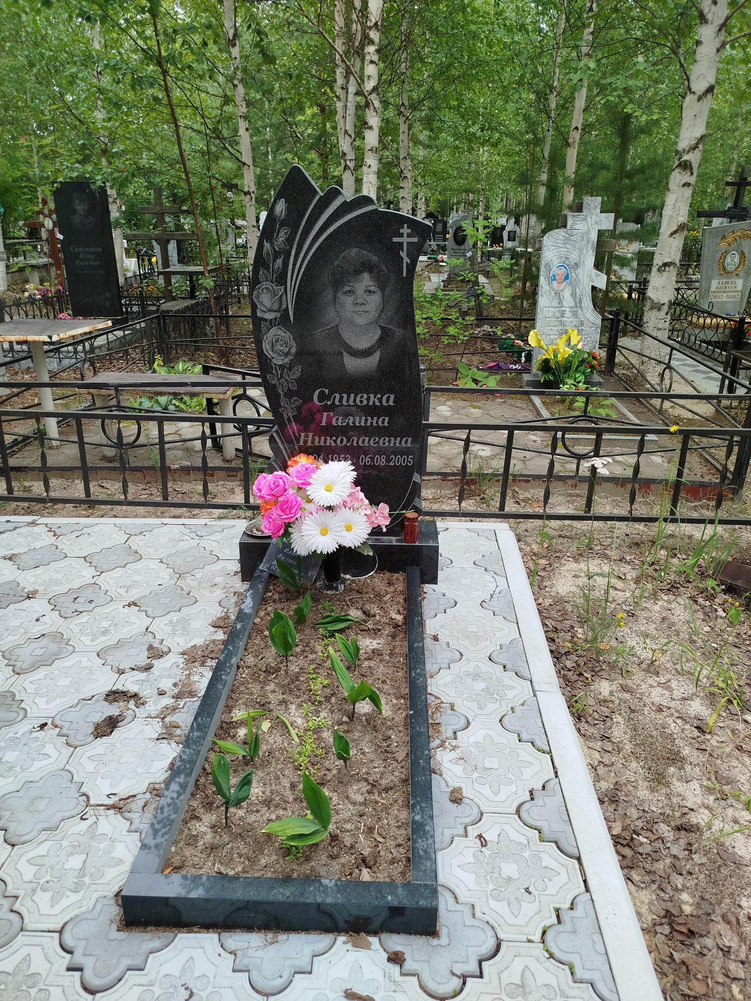 Сливка Галина Николаевна