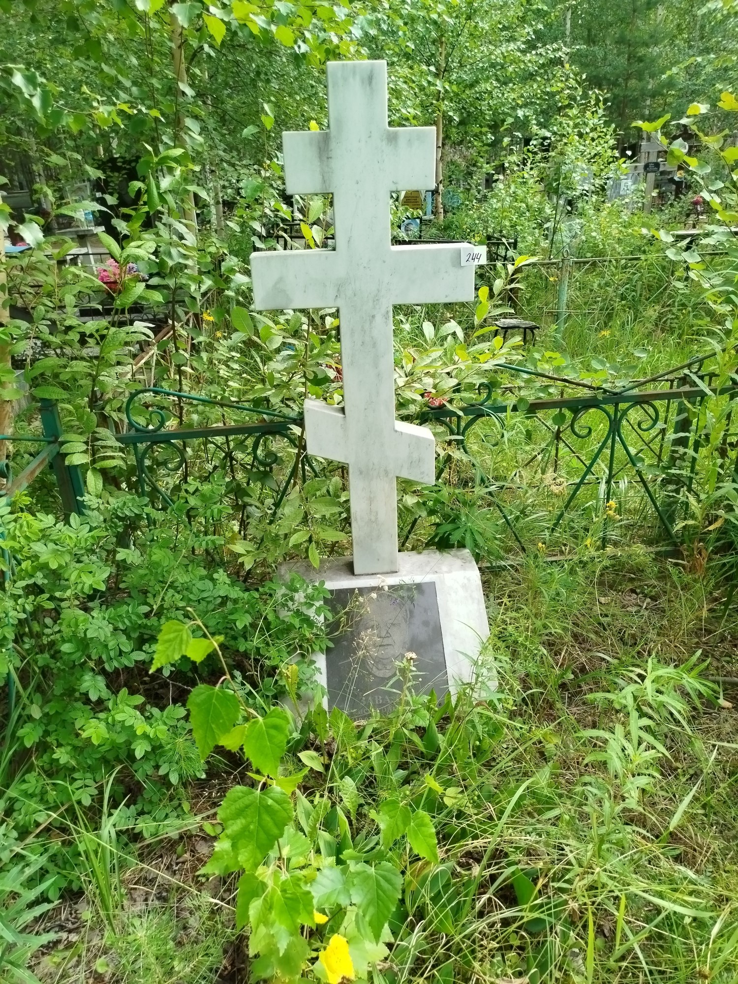 Завалко Раиса Григорьевна