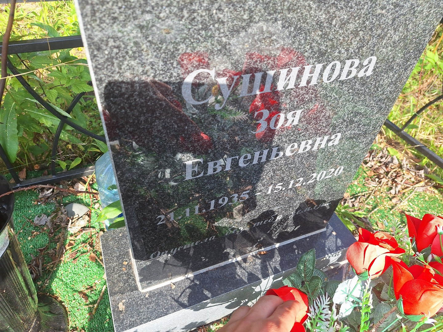 Сушинова