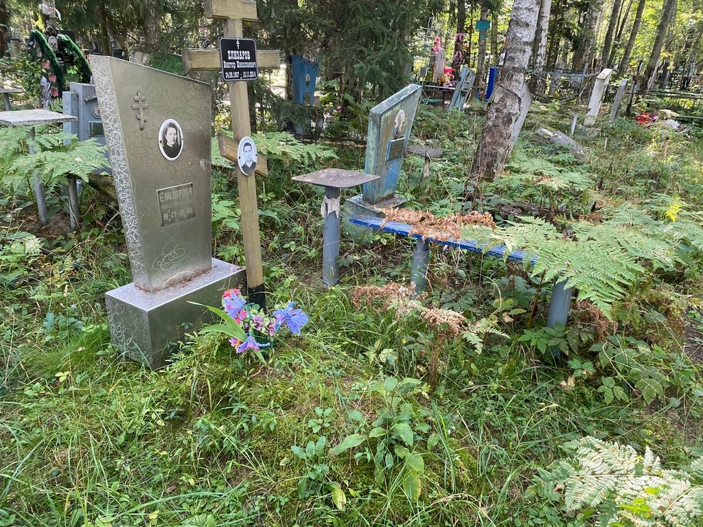 Елизаров Виктор Николаевич
