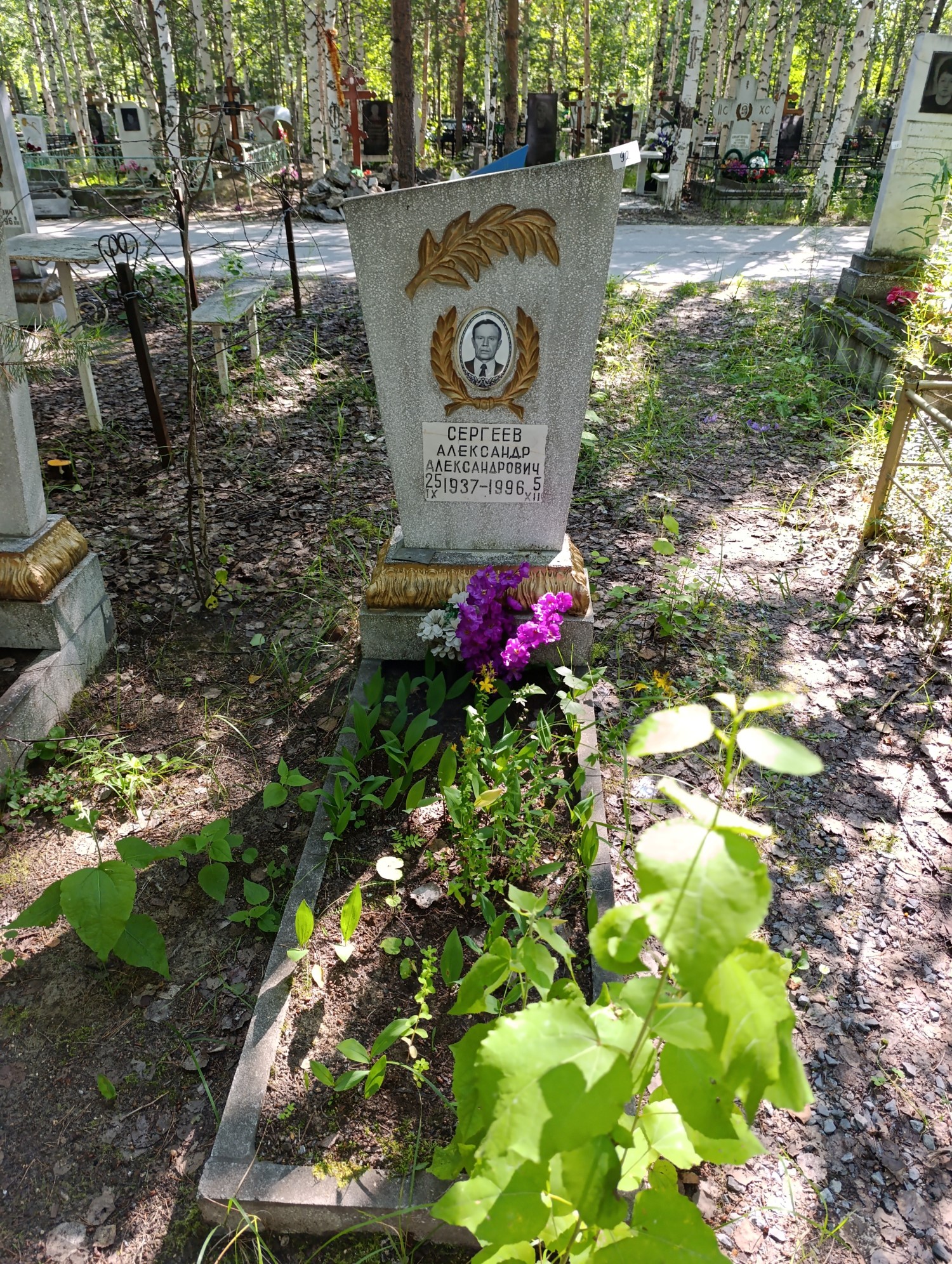 Сергеев Александр Александрович