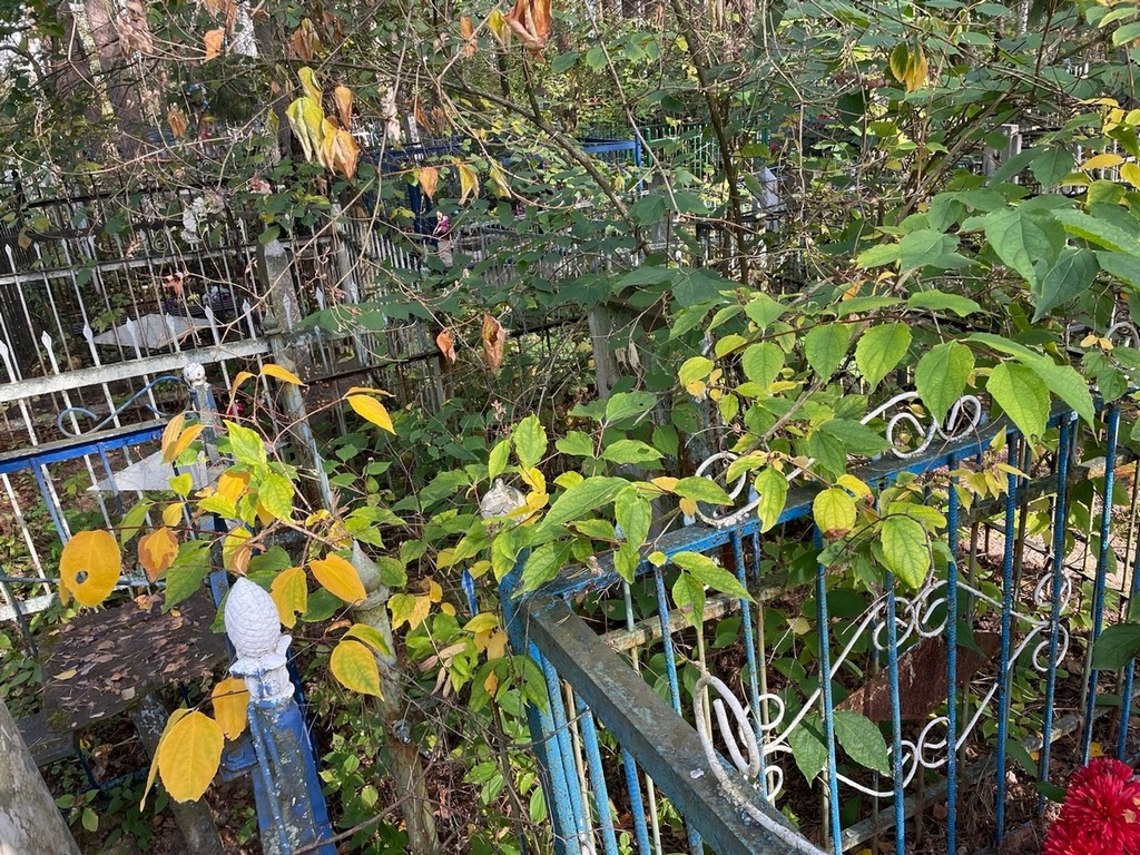 Веселова Надежда Васильевна