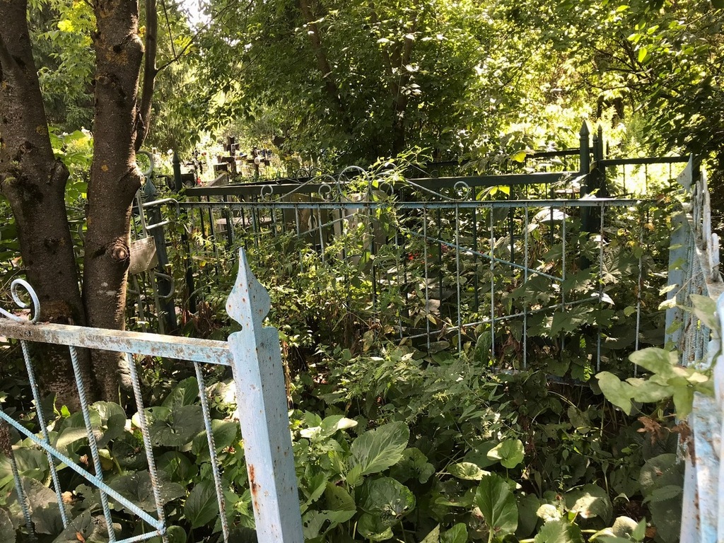 Кожевникова Вера Михайловна