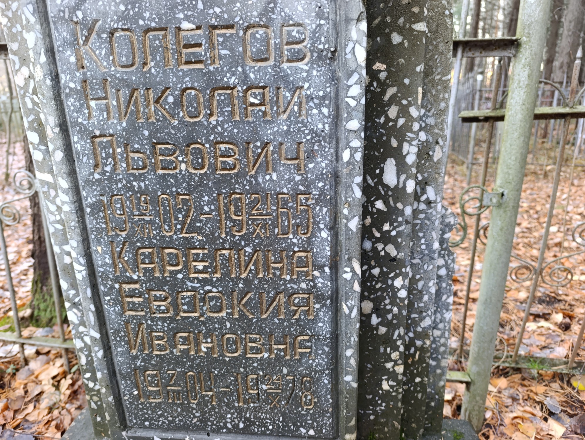 Колегов Николай Львович