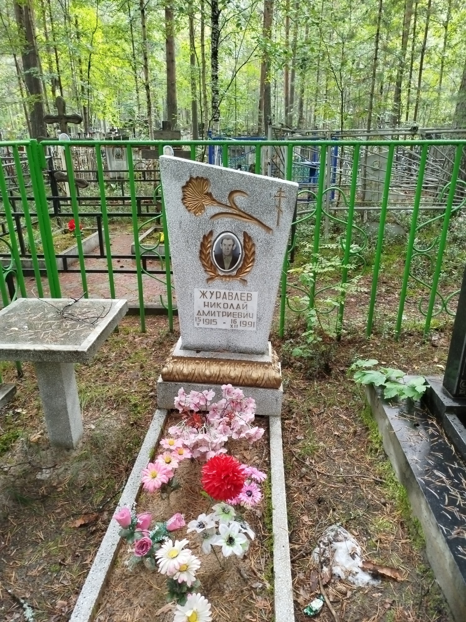 Журавлев Николай Дмитриевич