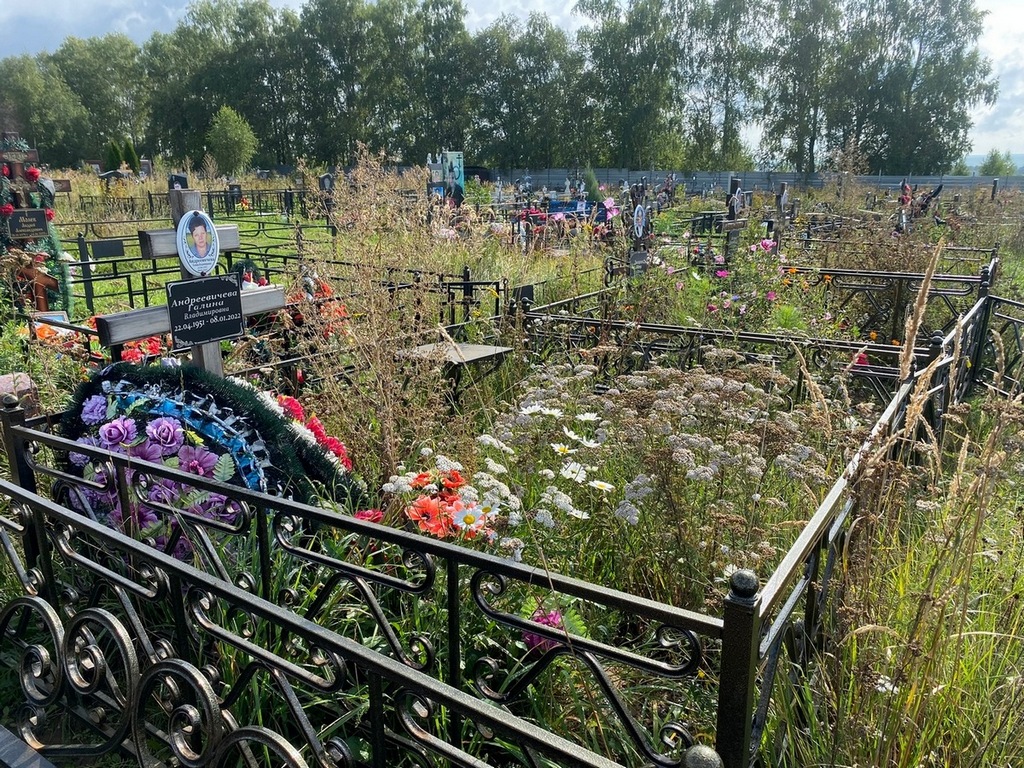 Андреевичева Галина Владимировна