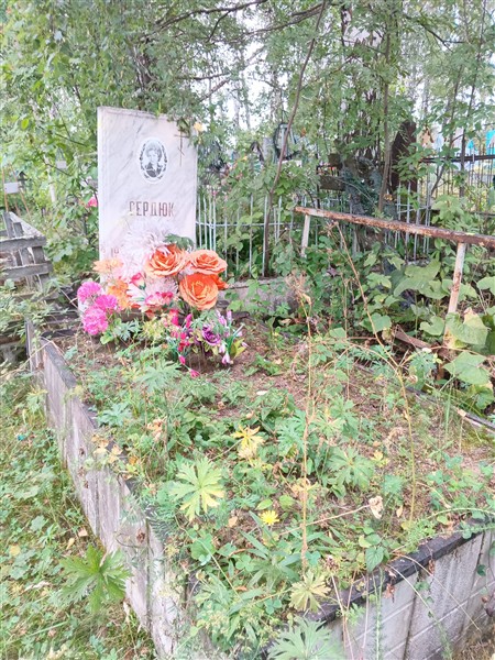 Сердюк Елена Павловна
