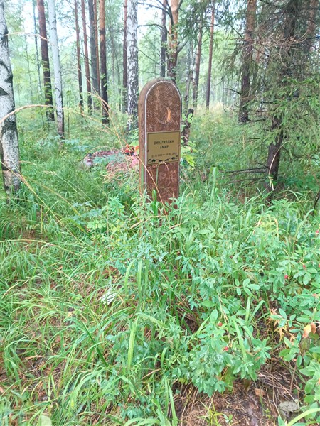 Зинатуллин Амир