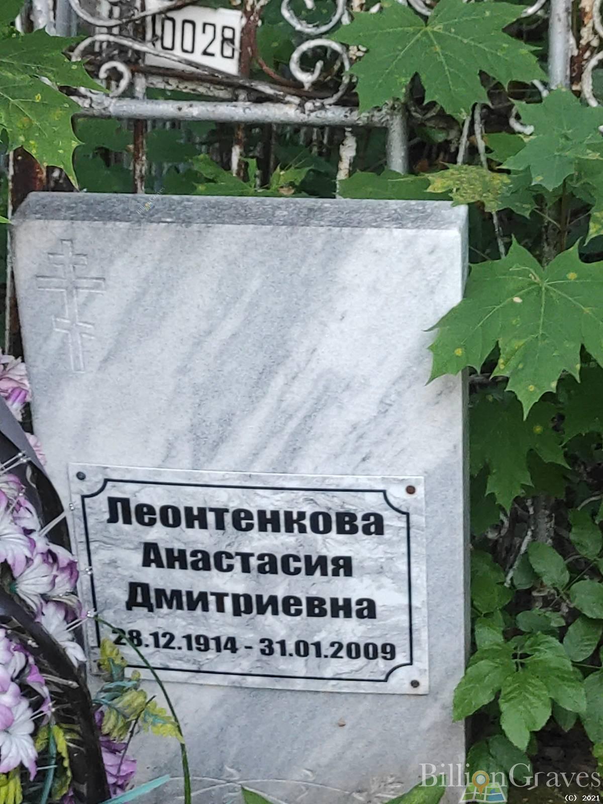 Леонтенкова Анастасия Дмитриевна