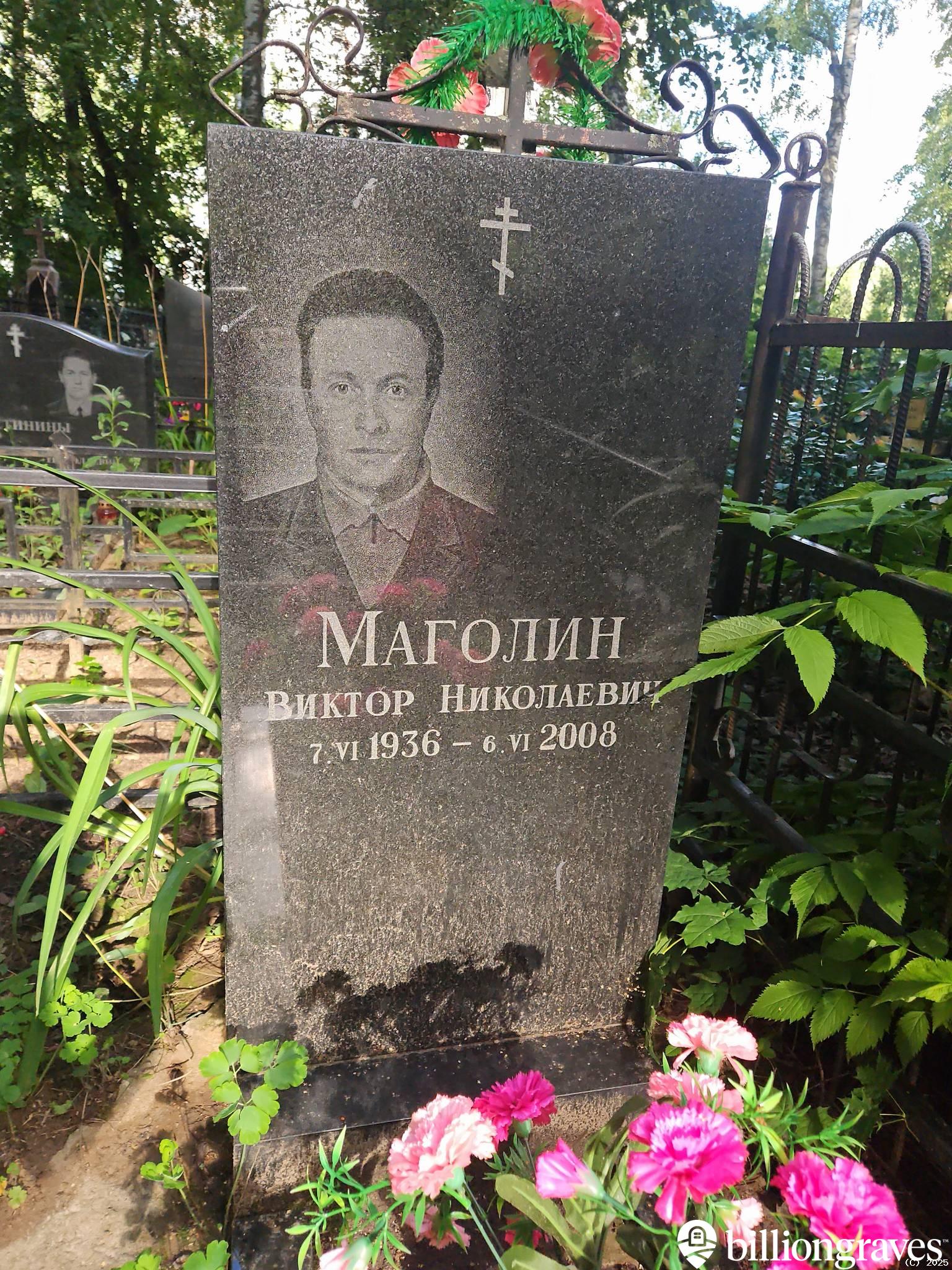 Маголин Виктор Николаевич