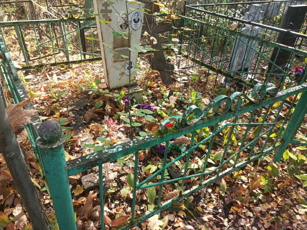 Шишкин Николай Васильевич