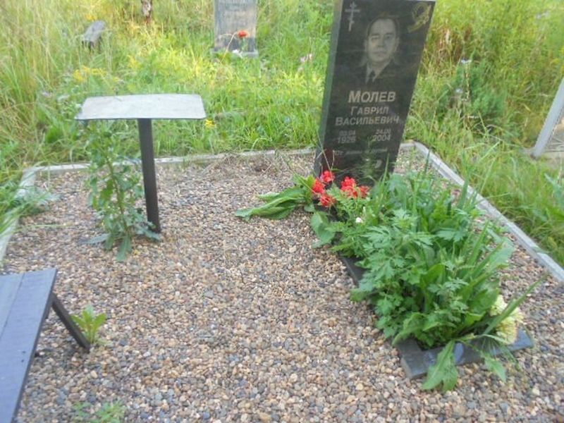 Молев Гаврил Васильевич