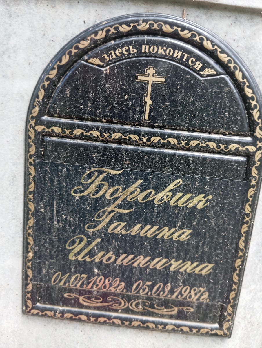 Боровик Галина Ильинична