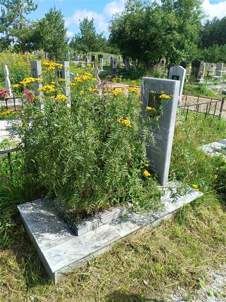 Куликов Андрей Николаевич