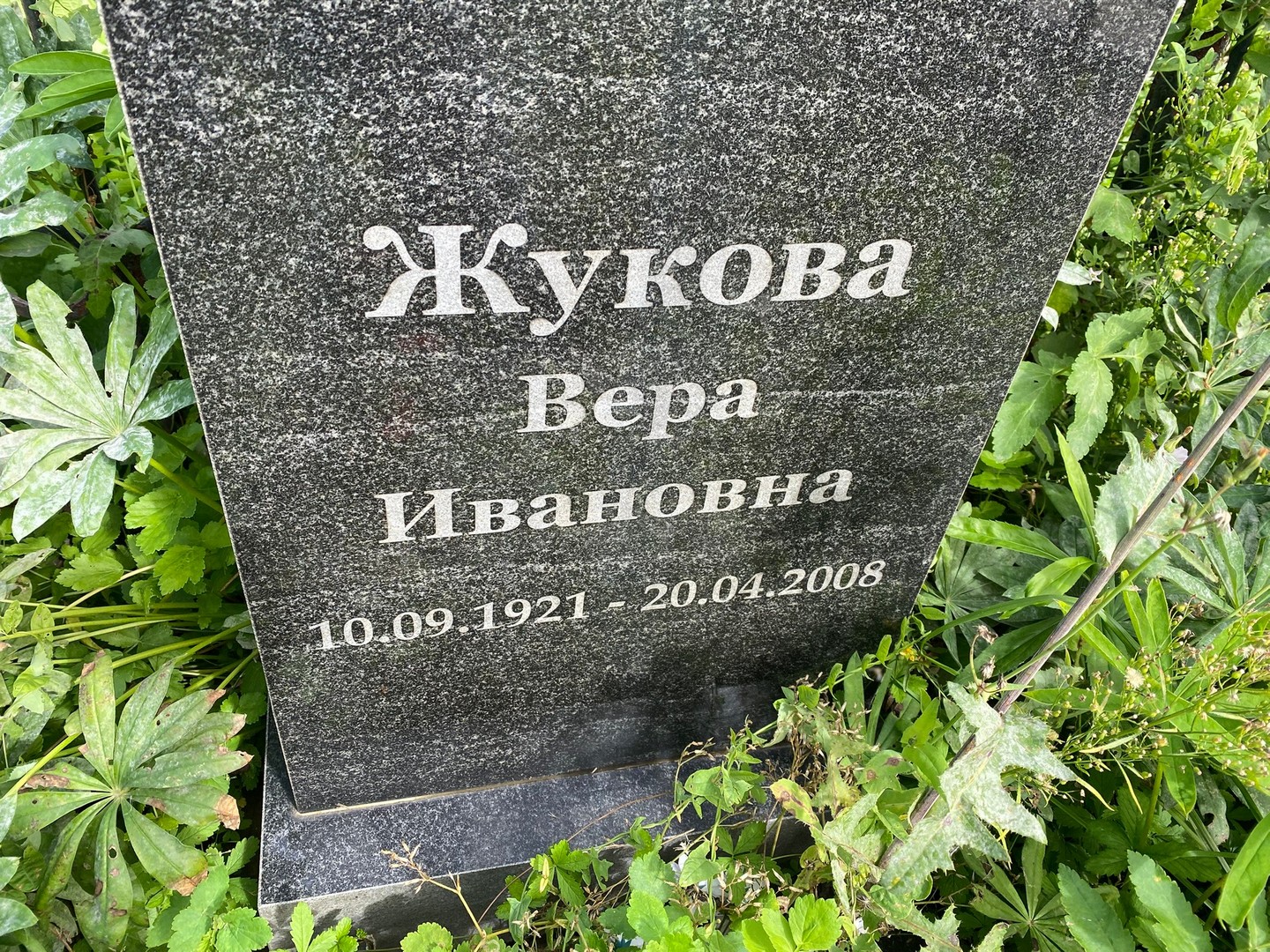 Жукова