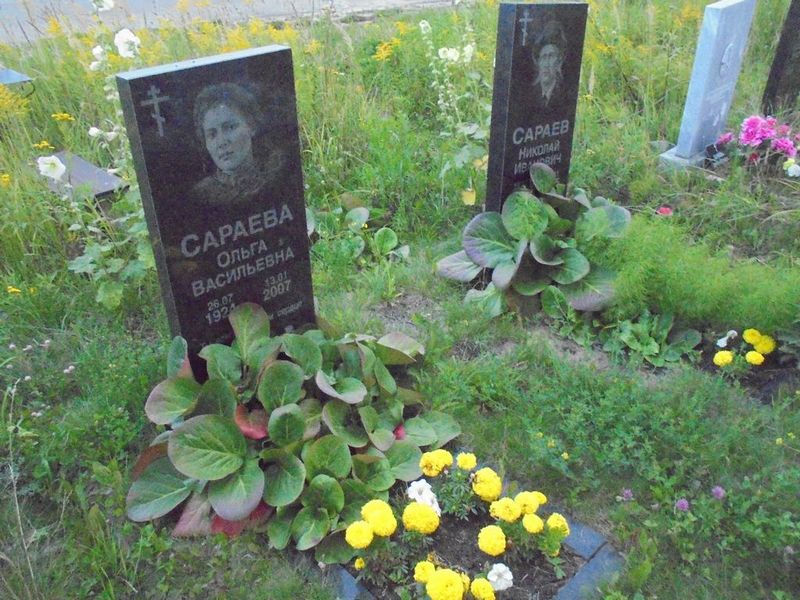 Сараева Ольга Васильевна