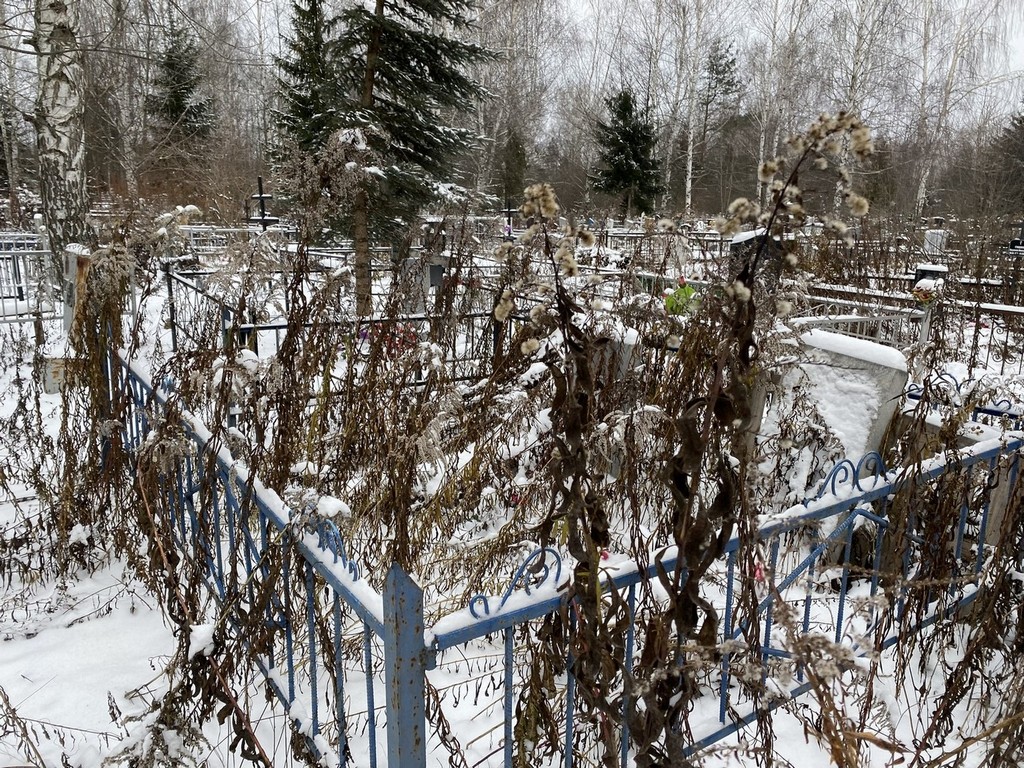 Ловыгина Ангелина Константиновна