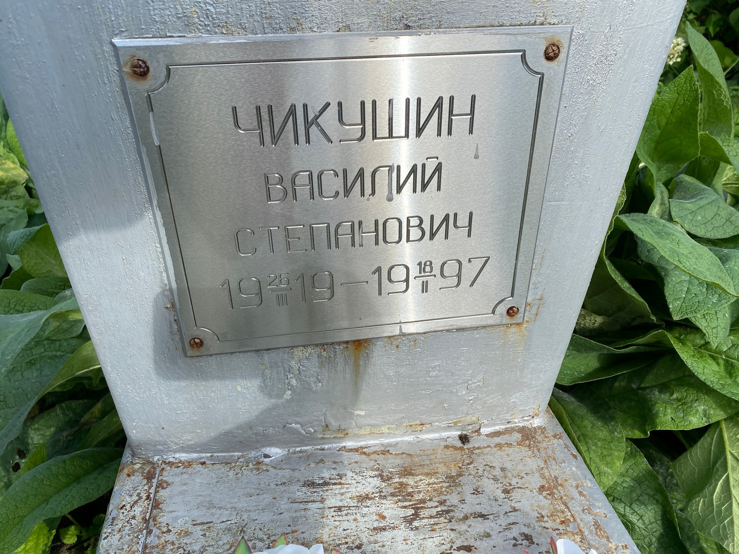 Чикушин