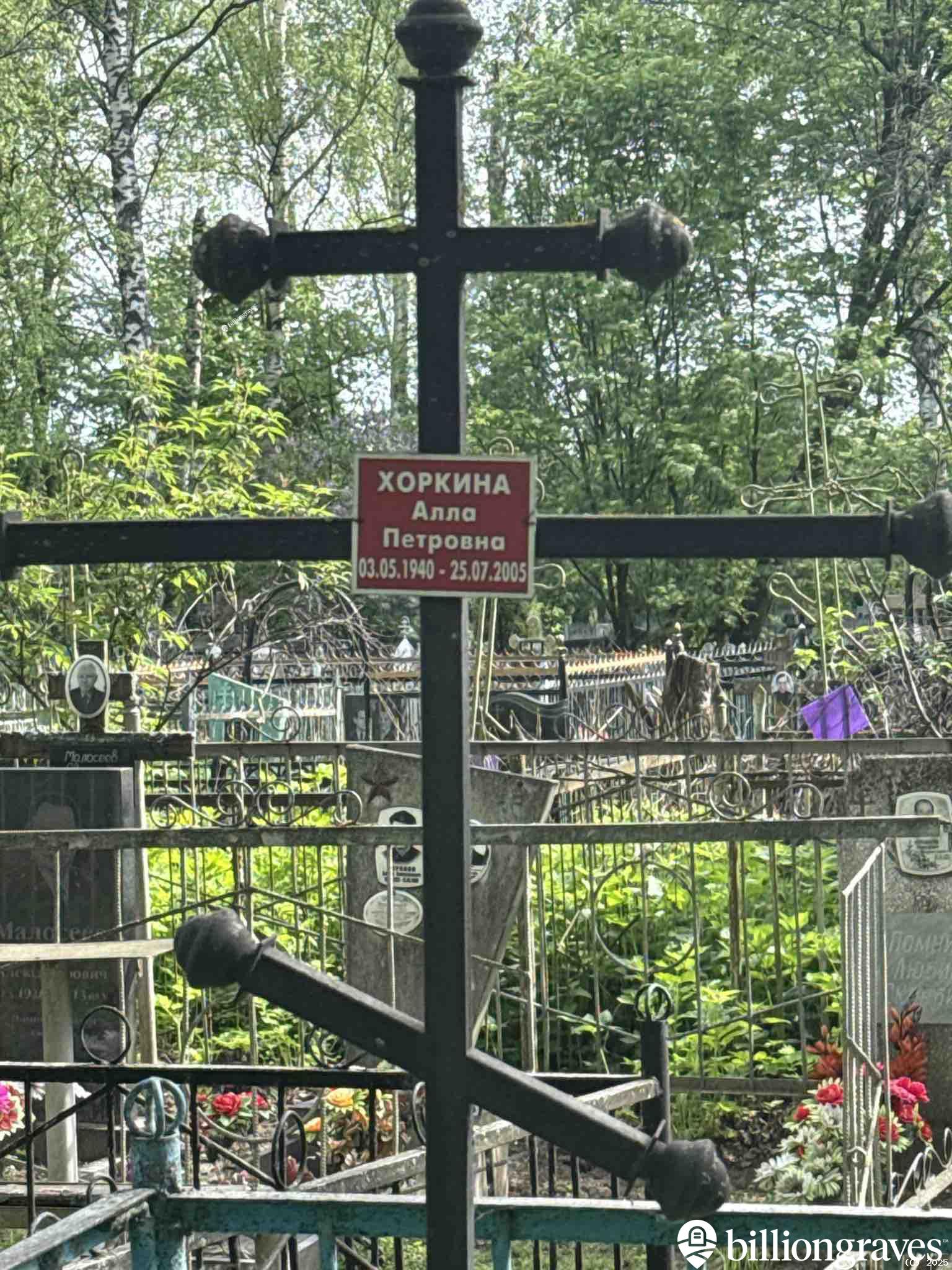 Хоркина Алла Петровна
