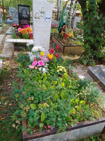Ломаев Владимир Михайлович