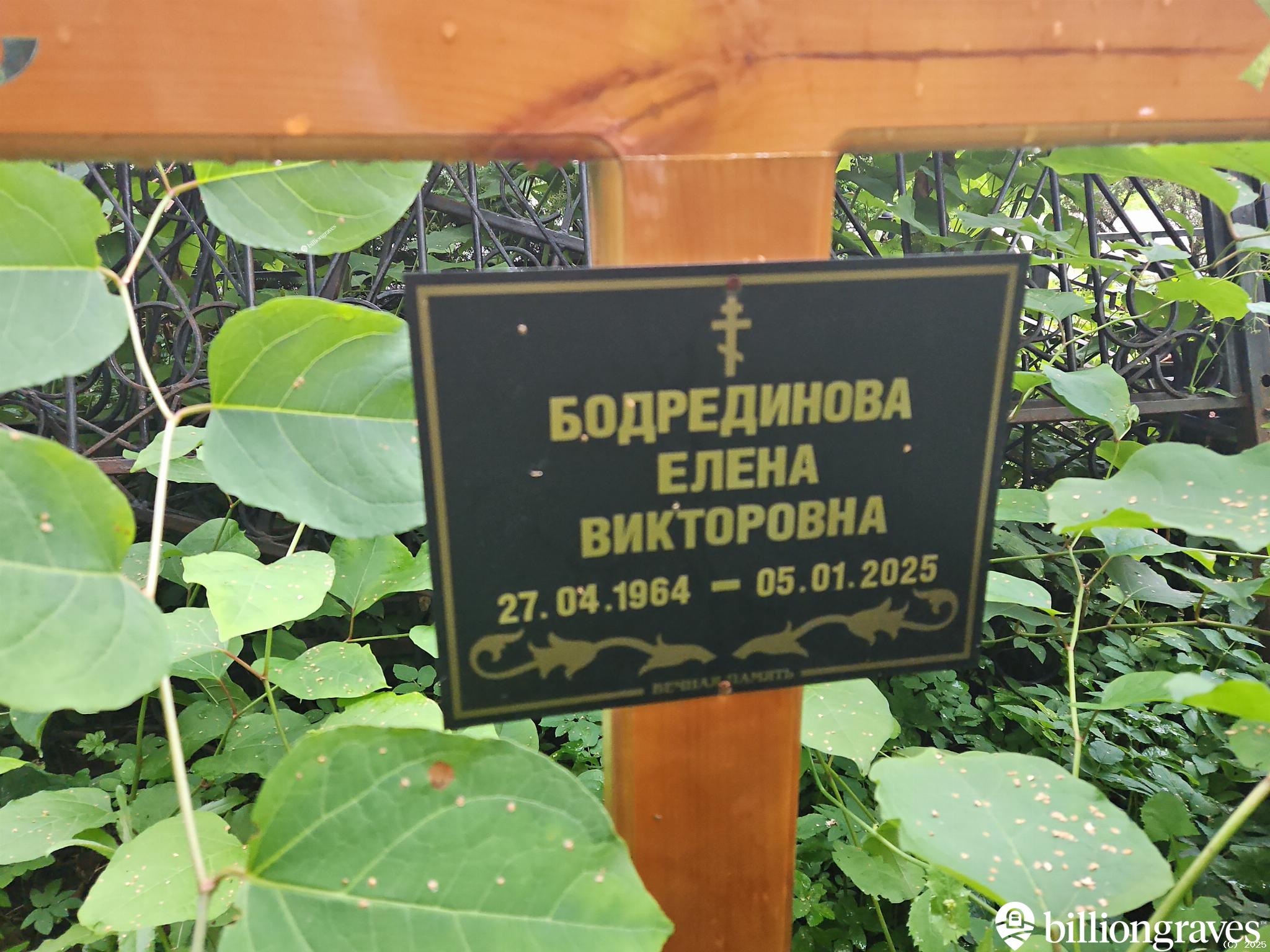 Бодрединова Елена Викторовна