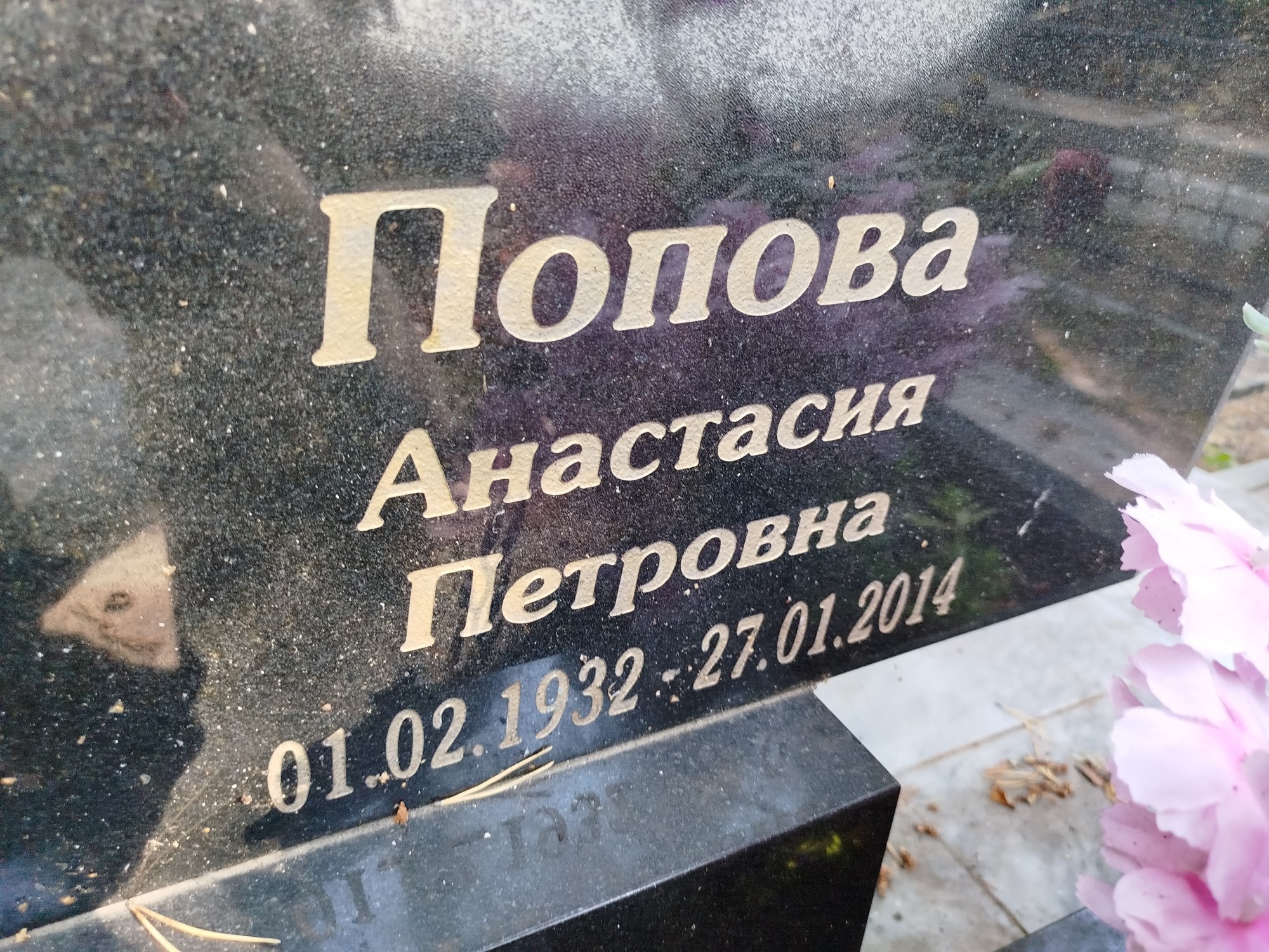 Попова Анастасия Петровна