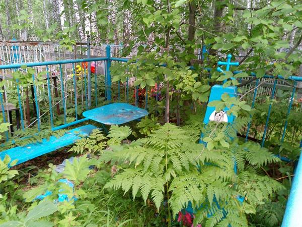 Ендакова Анна Андреевна
